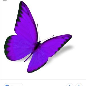 Meet your Posher, Dianne